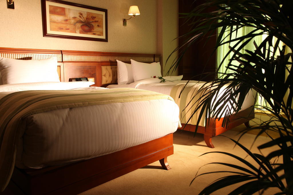 Helnan Landmark Hotel Kairo Rum bild